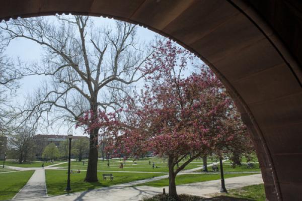 The Oval Picture of trees starting to bloom on the Oval at Ohio State